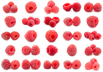 Image showing Raspberries