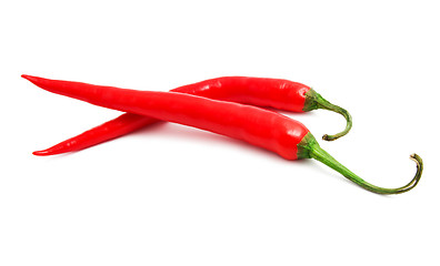 Image showing Hot chili pepper