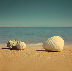 Image showing seashells on beach - vintage retro style