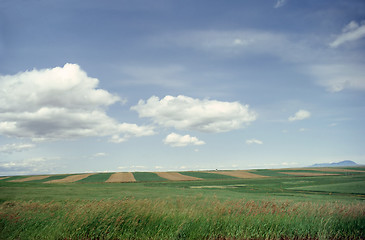 Image showing Fields in Montana