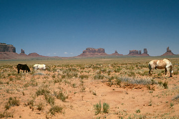 Image showing Horses in Monument Valley