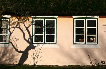 Image showing Window detail and tree shade on a wall of a house Island of Fano