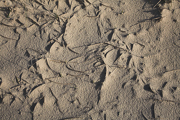 Image showing Detail of the sand pattern at the beach Island of Fanoe in Denma