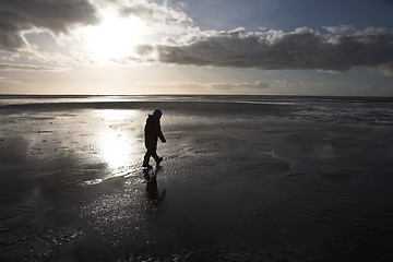 Image showing People looking for amber at the beach of the Island of Fanoe in 