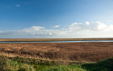 Image showing Landscape over the reeds. Island of Fanoe in Denmark