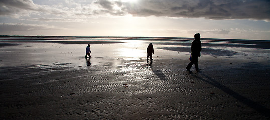 Image showing People looking for amber at the beach of the Island of Fanoe in 