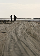 Image showing Island of Fanoe in Denmark