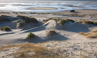 Image showing Dunes fronting the beach. Island of Fanoe in Denmark