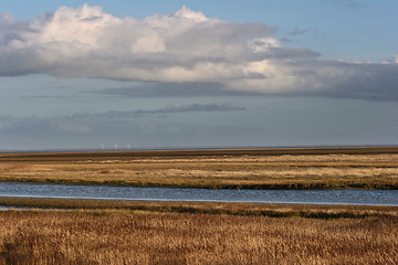 Image showing Landscape from Island of Fanoe in Denmark