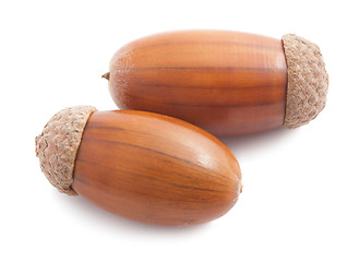 Image showing Acorn