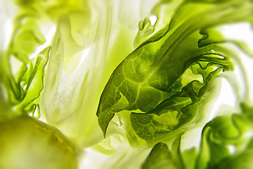 Image showing Sliced salad