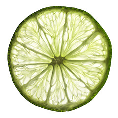 Image showing Slice of lime