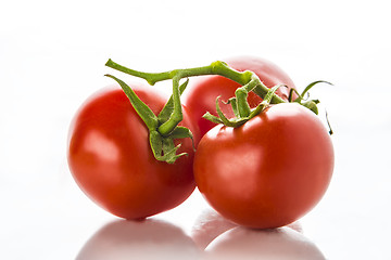 Image showing Three tomatoes