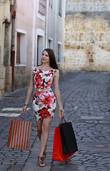 Image showing Young Woman with Shopping Bags