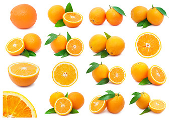 Image showing Oranges