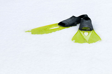 Image showing Flippers lying on the snow