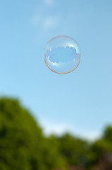 Image showing Soap bubble