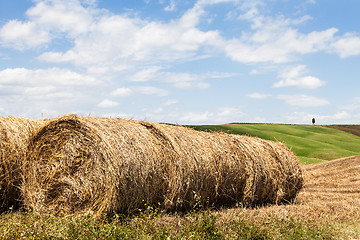 Image showing Tuscany agriculture