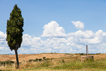 Image showing Tuscan country