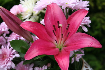 Image showing Bouquet of flowers