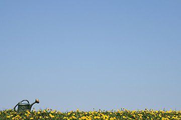 Image showing Watering-can in a flowering spring field