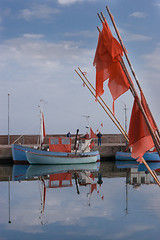 Image showing Summer in Denmark