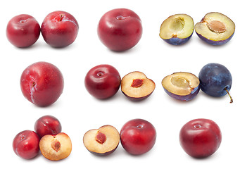 Image showing Plum