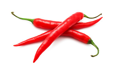 Image showing Hot chili pepper