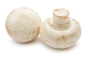 Image showing Champignon mushrooms