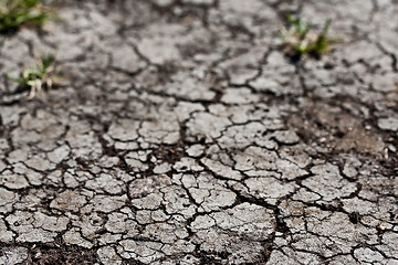 Image showing Dry land