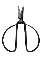 Image showing vintage japanese pruning scissors