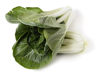 Image showing Bok choi high angle