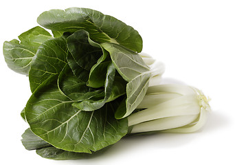 Image showing Bok Choi over white