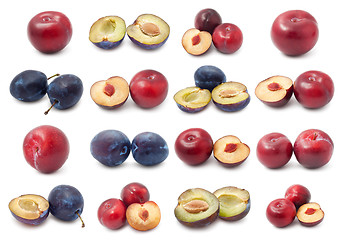 Image showing Plum