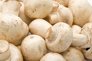 Image showing Champignon mushrooms