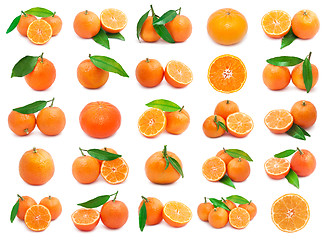 Image showing Mandarins