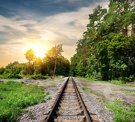 Image showing Railroad through the forest