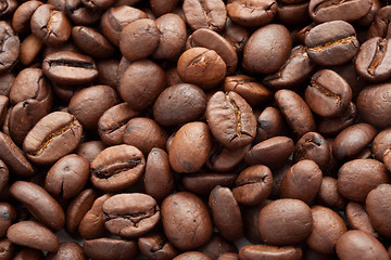 Image showing Coffee beans