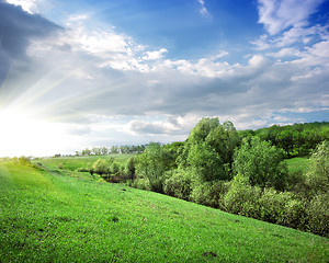 Image showing Sunbeams over the forest