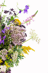 Image showing Bouquet of medicinal herbs