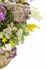 Image showing Bouquet of medicinal herbs