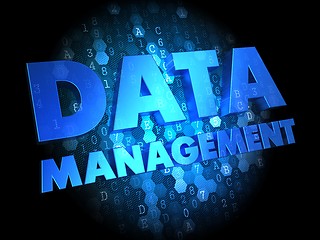 Image showing Data Management on Dark Digital Background.