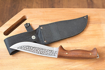 Image showing Beautiful hunting knife and a case for the knife.