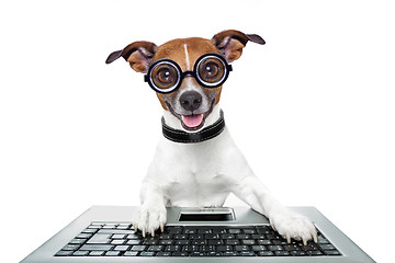 Image showing silly computer dog