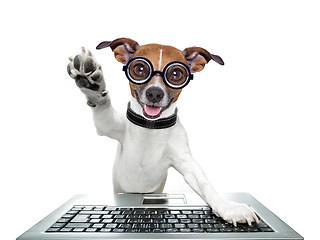 Image showing silly computer dog