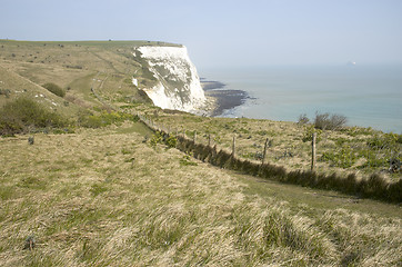 Image showing  White cliffs of Dover