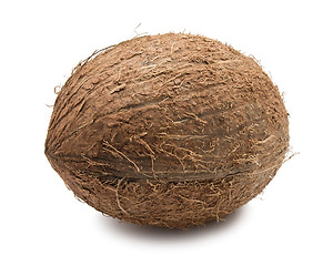 Image showing Coconut