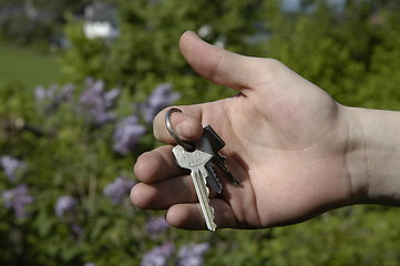 Image showing Keys