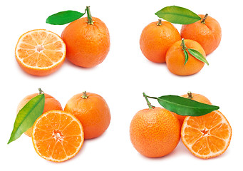 Image showing Mandarins