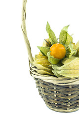 Image showing Cape gooseberry